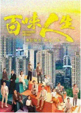 雾港档案 都市剧集封面